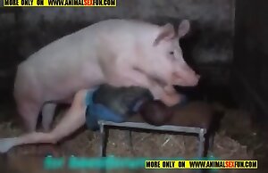 Khiêu dâm Zoophilia với một con lợn chỉ là XXX hay nhất