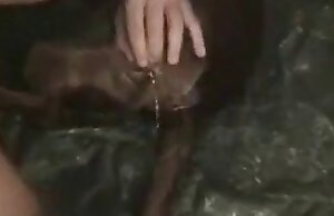 Đồng tính bestiality tình dục hoạt động với thực sự cực khoái